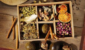 Chinese Herbal Medicine
