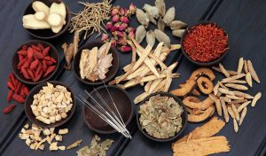 Launceston Acupuncturist Services